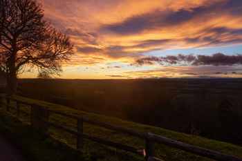 Jamie WeinbrenMichael Weinbren Image from website: https://www.mw-gallery.photos/